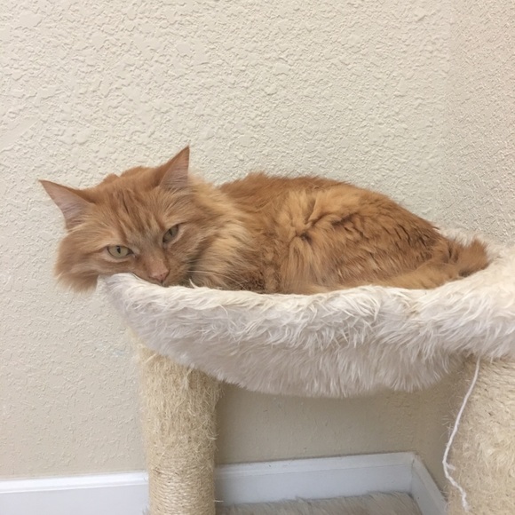 🌸💥20% off on Bundles of 2 or More💥🌸 - Picture 3 of 3